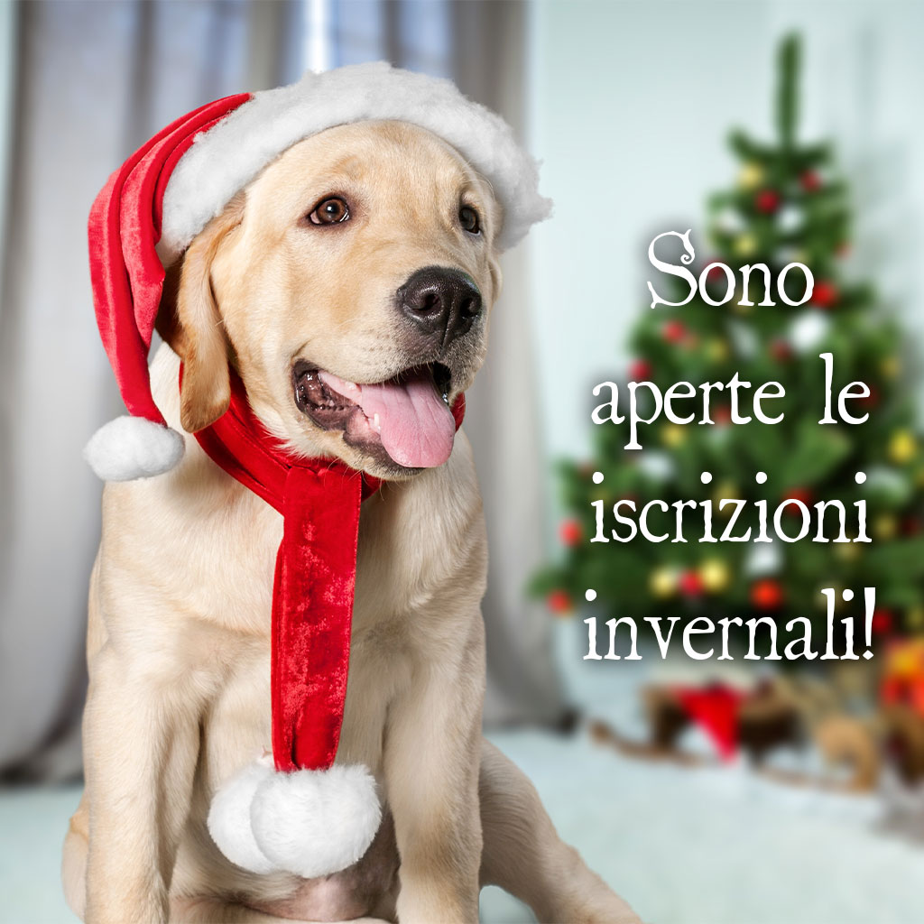 Inserimenti e prenotazioni per inverno 2021